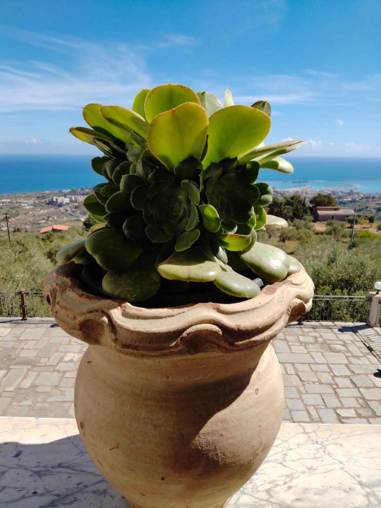 Villa Bona Termini Imerese Eksteriør billede